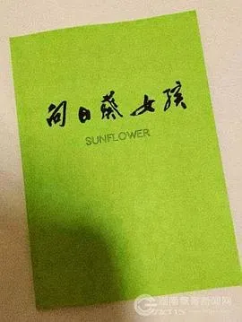 向日葵女孩